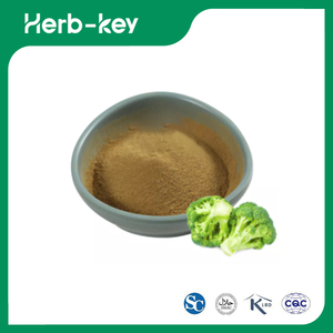 Estratto di germogli di broccoli in polvere